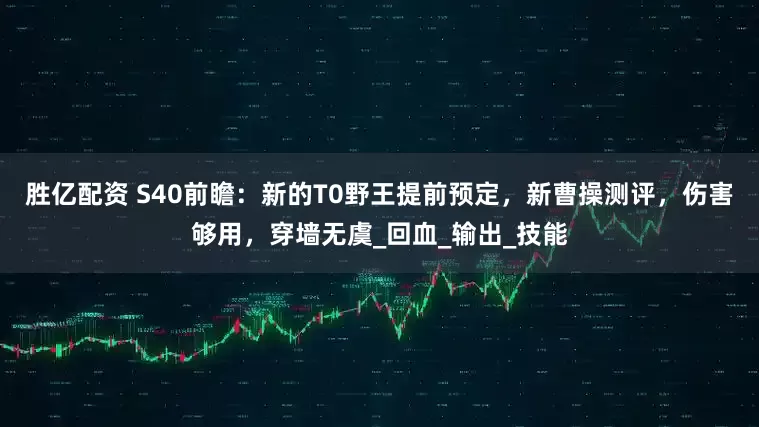 胜亿配资 S40前瞻：新的T0野王提前预定，新曹操测评，伤害够用，穿墙无虞_回血_输出_技能